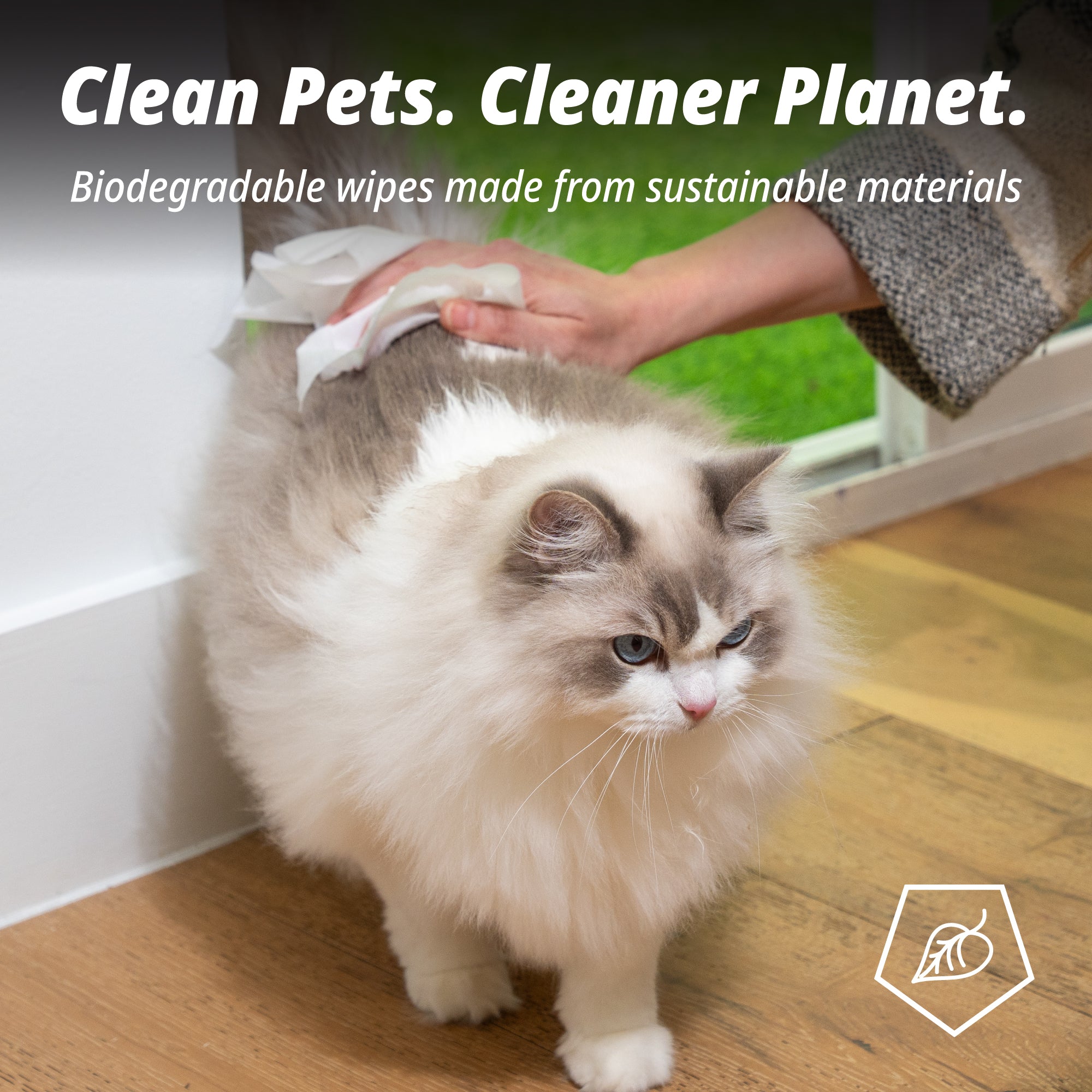 Catnip Infused Pawer Cat Wipes