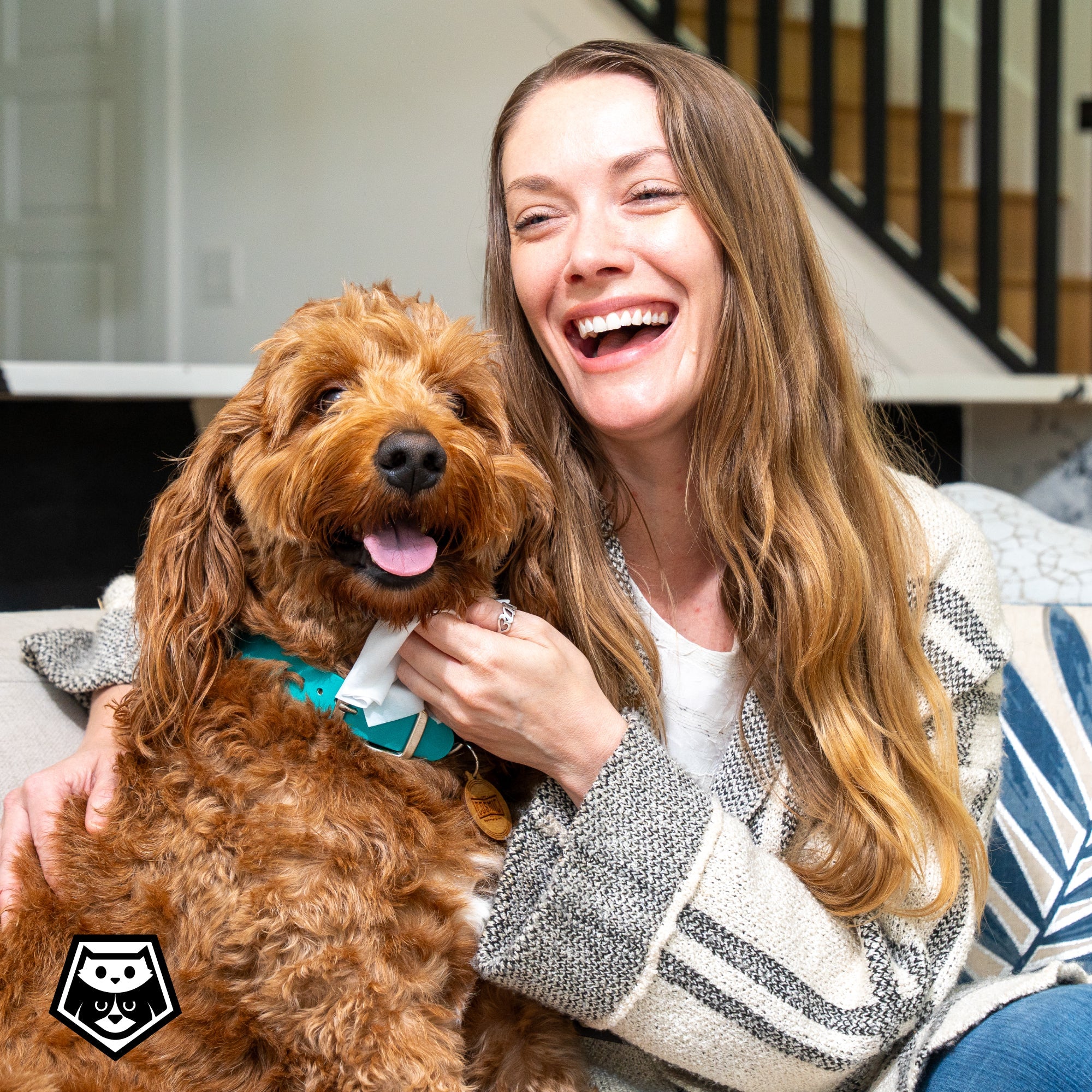 Pollen Wicking Pawer Dog Wipes - PawerLab