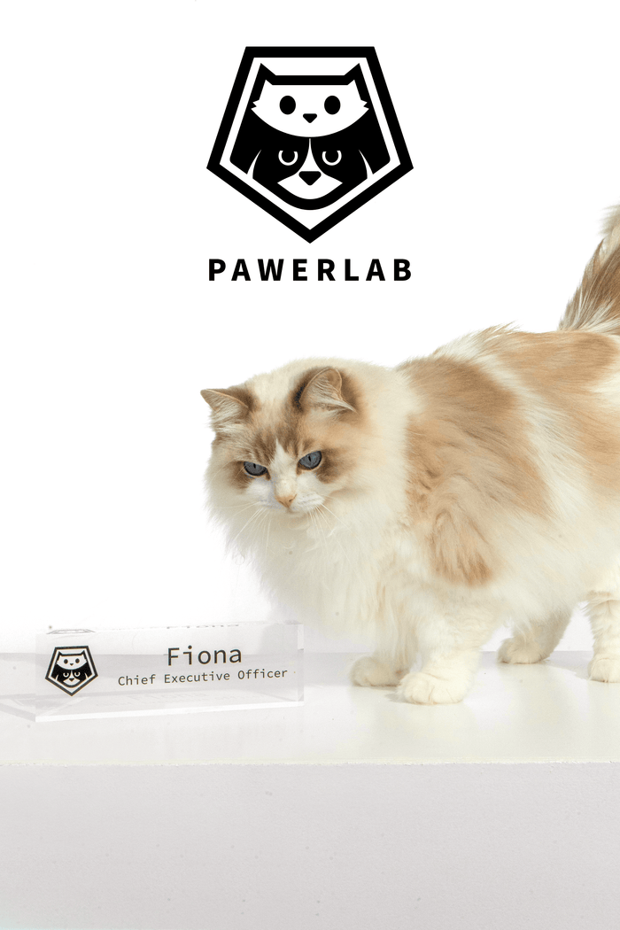 Fiona — PawerLab CEO