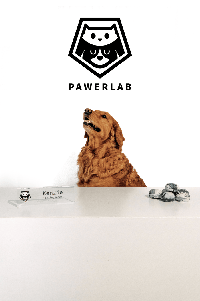 Kenzie — Pet Toy Engineer