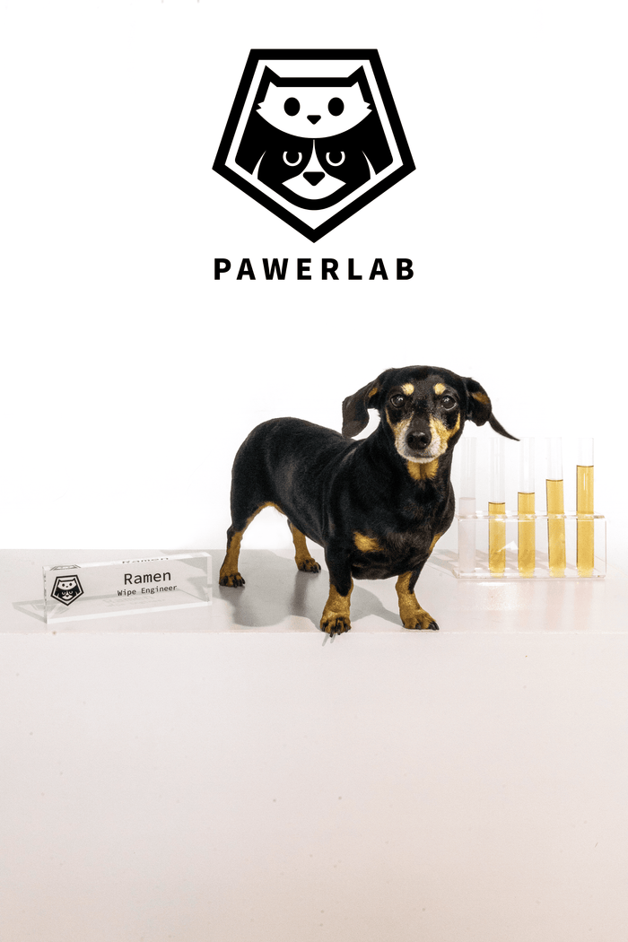 Ramen — Pet Wipe Engineer